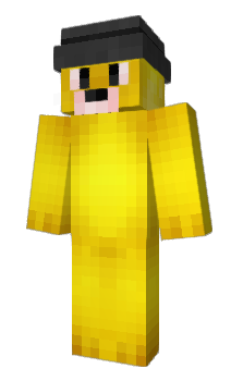 Minecraft skin 6du