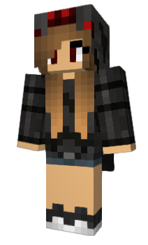 Minecraft skin Broi