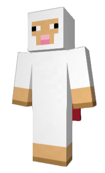 Minecraft skin Mikkki