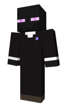 Minecraft skin REMIPC