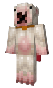 Minecraft skin Conixio