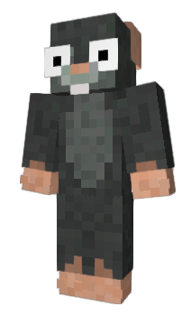 Minecraft skin bibblioo