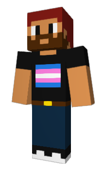 Minecraft skin tgenk