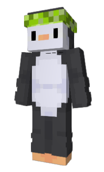 Minecraft skin BOSSSKIN