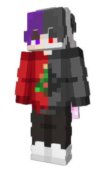 Minecraft skin CodDev