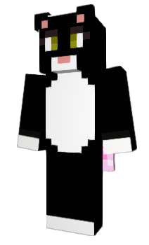 Minecraft skin xdgamer008