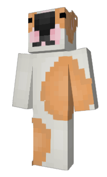 Minecraft скін по ніку FufaToper
