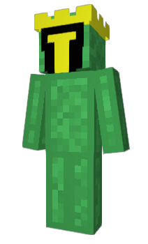 Minecraft skin SKN5