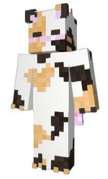 Minecraft skin canscivallor