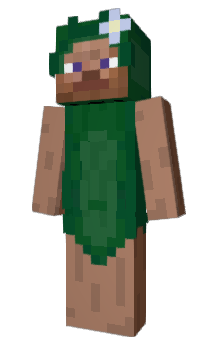 Minecraft skin Songjo