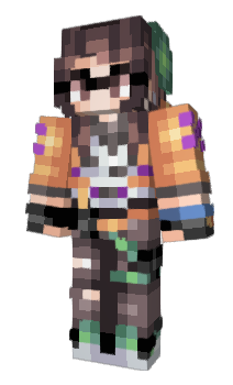 Minecraft skin Srimpv2