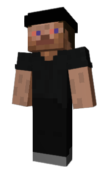 Minecraft skin Renwi