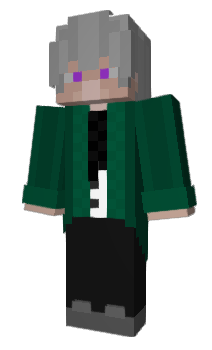 Minecraft skin roopic