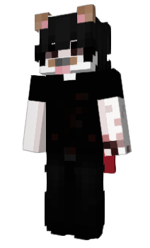 Minecraft skin kpzyn