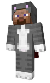 Minecraft skin Steve