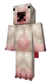 Minecraft skin Bapakgila