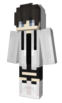 Minecraft skin SoTCY