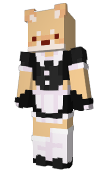 Minecraft skin lettc