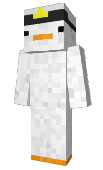 Minecraft skin Cartn