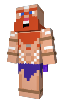 Minecraft skin dudusz