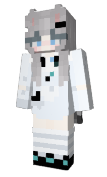 Minecraft skin STEVE1070175