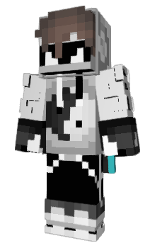 Minecraft skin HCin