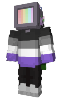 Minecraft skin Asxual