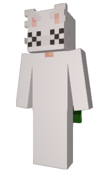 Minecraft skin intthewired