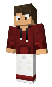 Minecraft skin Vettor