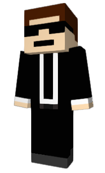 Minecraft skin Zynq