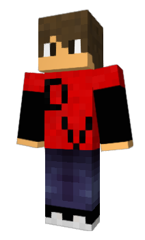 Minecraft skin takib