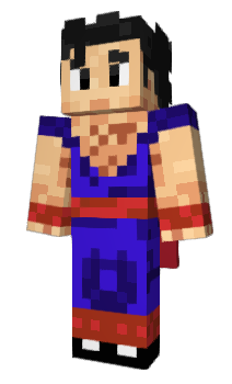 Minecraft skin iDTM