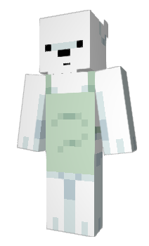 Minecraft skin Tunisiangamer