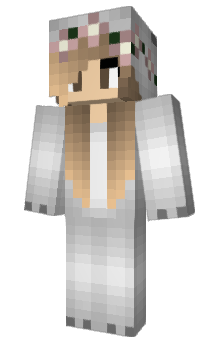 Minecraft скін по ніку Prean