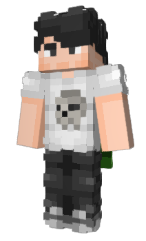 Minecraft skin rokbi