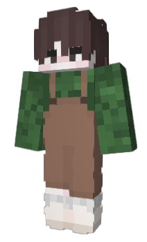 Minecraft скин по нику voidig