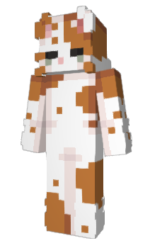 Minecraft skin Gsti