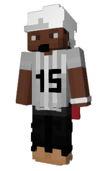 Minecraft skin vrvc