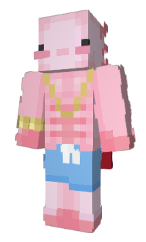 Minecraft skin vrvc