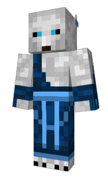 Minecraft skin RPI