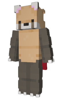 Minecraft skin bonggil