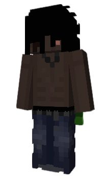 Minecraft skin Rcduce