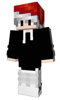 Minecraft skin 22334455