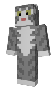Minecraft skin Meow__