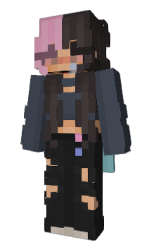 Minecraft skin swushio