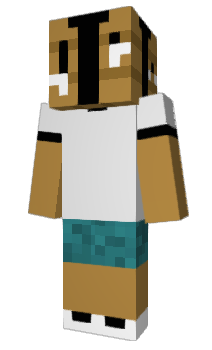 Minecraft skin Zheve