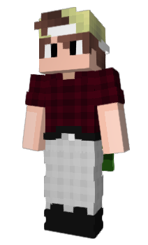 Minecraft skin 51M