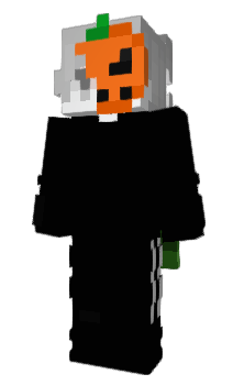 Minecraft skin szynkaflex