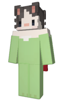 Minecraft skin pogity