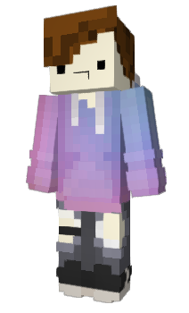 Minecraft skin cic